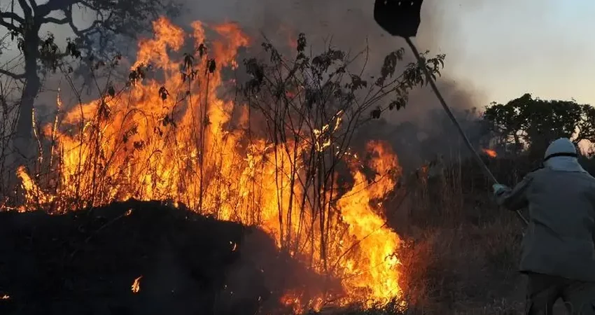  Amazônia Legal registra quase 3.000 incêndios, um recorde para o mês de fevereiro