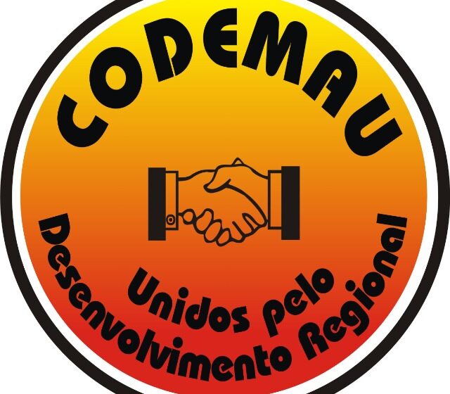  Governo do Estado divulga dados preliminares sobre a Consulta Popular 2024-2025