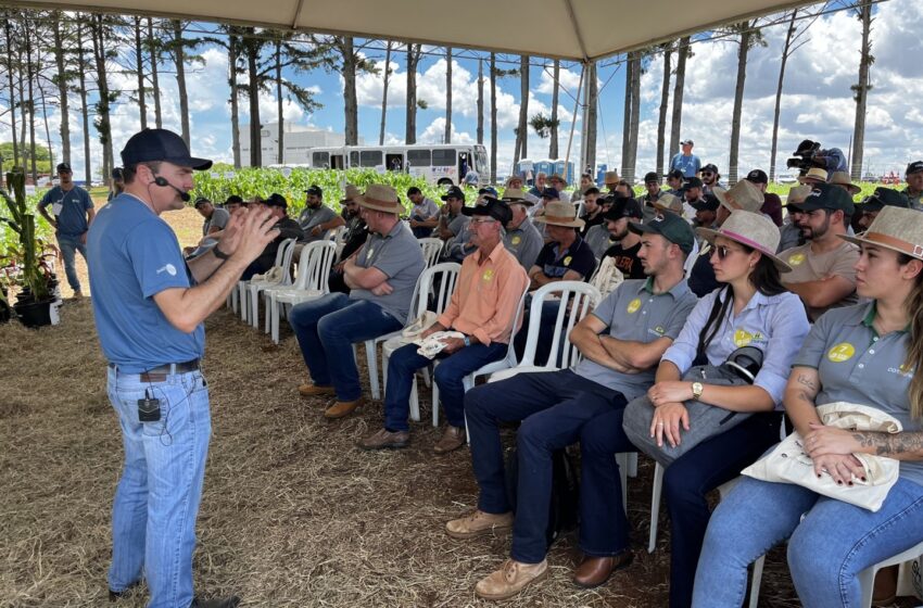 Associados e equipe técnica da Cotrifred participam do Show Técnico Cooperativo