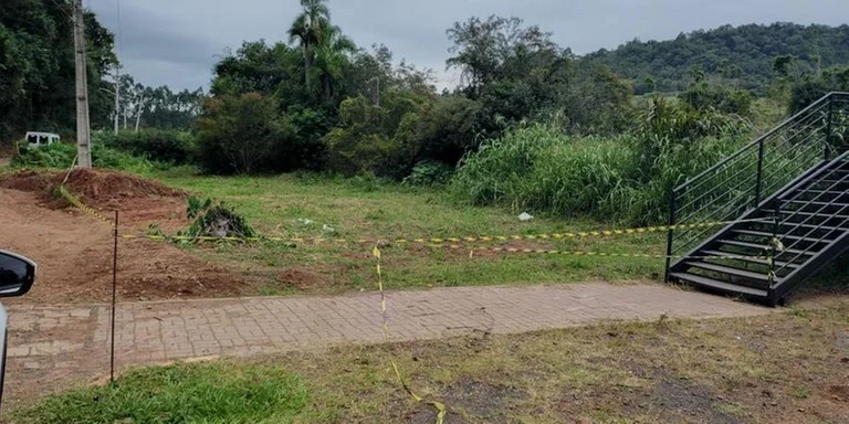  Ataque de abelhas fere mais de 20 pessoas e mata dois cavalos em Ivoti