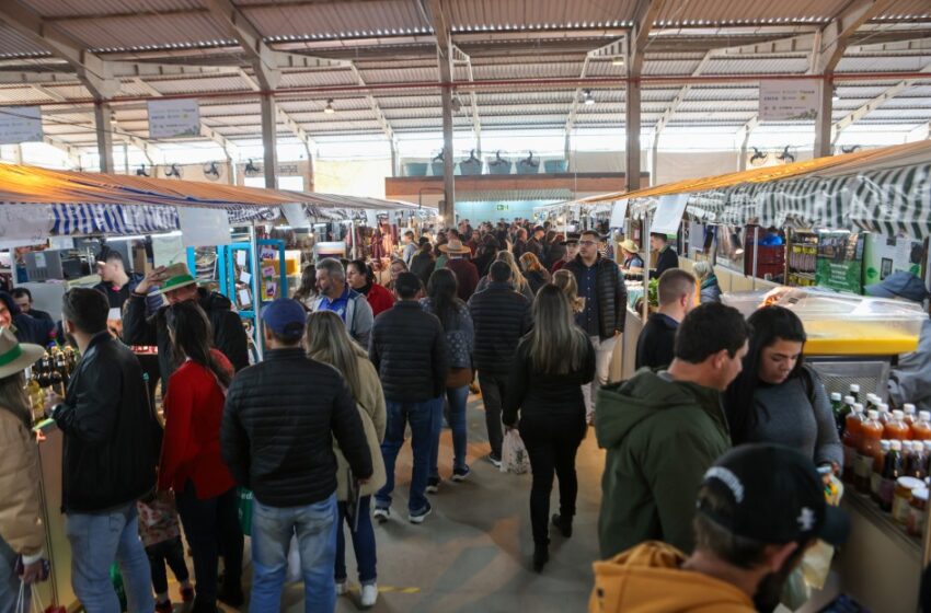  Expointer 2025 terá o maior número de expositores da história do Pavilhão da Agricultura Familiar