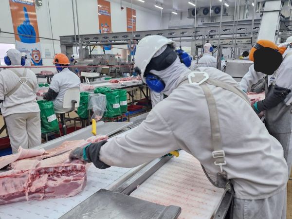  SEBERI – Justiça do Trabalho concede tutela antecipada e garante direito à amamentação em unidade da JBS/Seara em Seberi