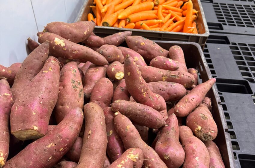  Banco de Alimentos de Chapecó fortalece a agricultura familiar e garante alimentos de qualidade para serviços e entidades do município