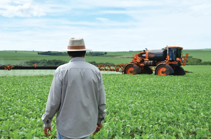  FORÇA ÀS MULHRES E HOMEM DO CAMPO!
