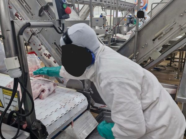 Justiça do Trabalho condena Seara/JBS por subnotificação de acidentes e doenças do trabalho em Seberi