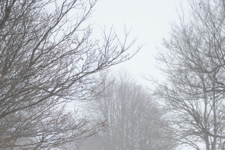 Núcleo de Meteorologia da Univates prevê inverno com mais chuva e temperaturas acima da média no Vale do Taquari
