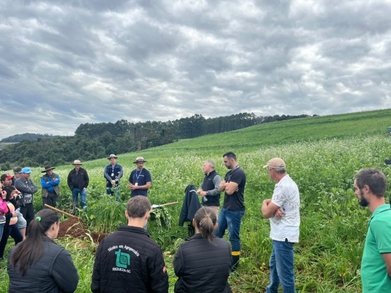 Cotrifred participa de tarde de campo sobre culturas de cobertura e conservação do solo