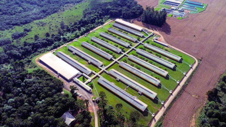 BNDES aprova R$ 72,5 milhões para nova granja de alta tecnologia em SC; entenda o projeto