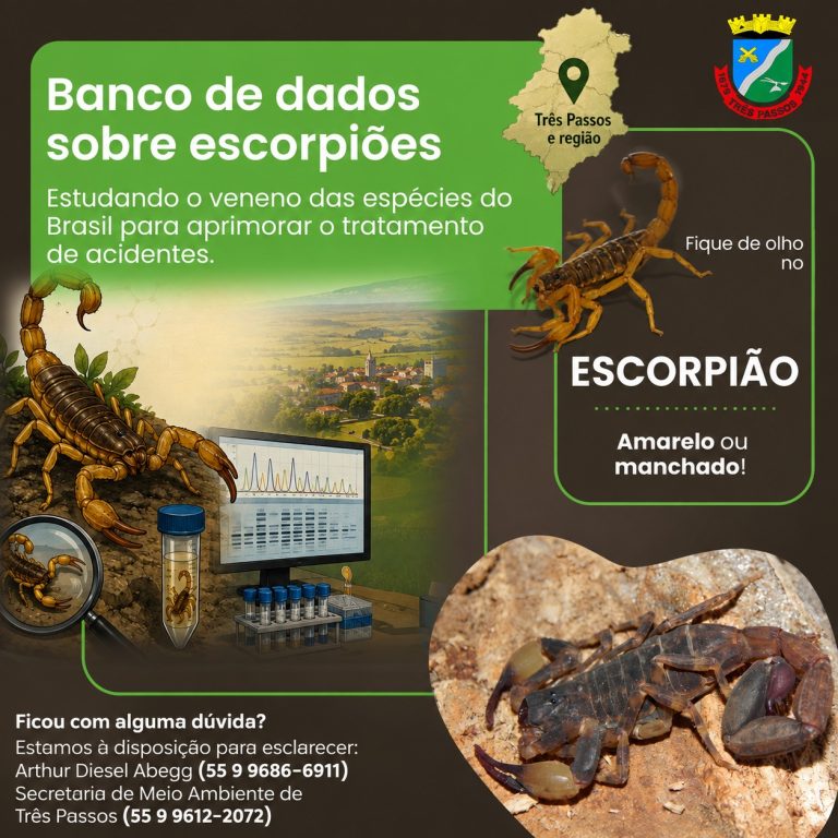 Encontrou um escorpião? Seu registro pode contribuir com pesquisa científica