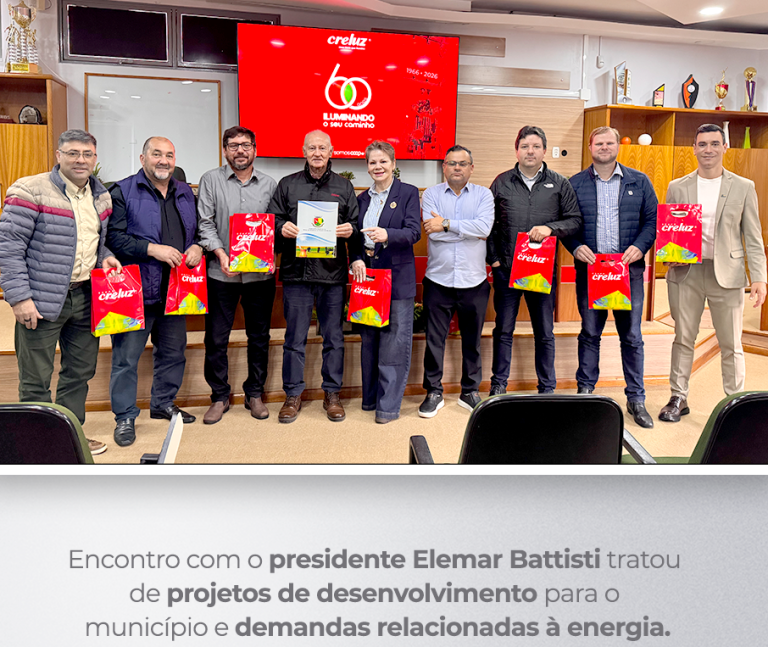 Creluz recebe comitiva de vereadores de Palmeira das Missões